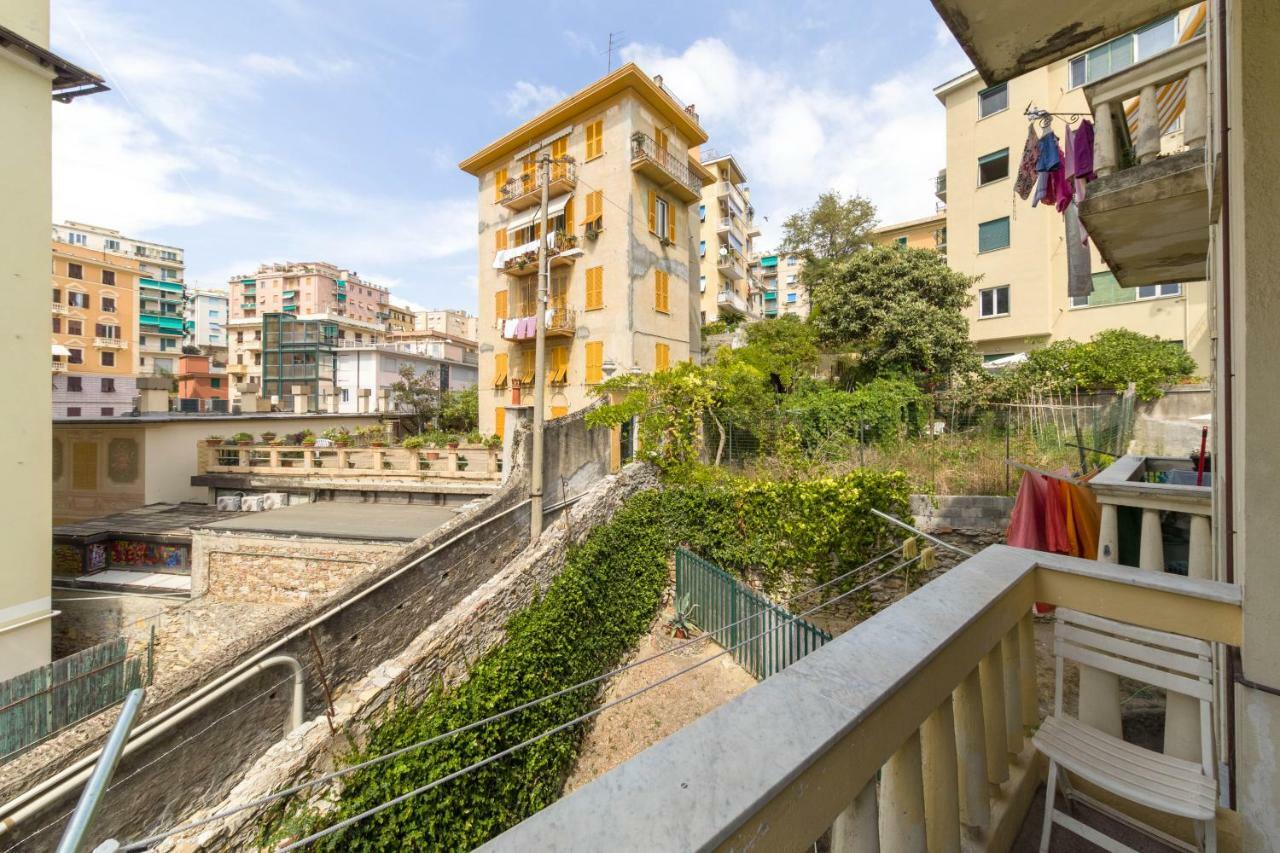 Vila House Leomar Di Maria Janov Exteriér fotografie